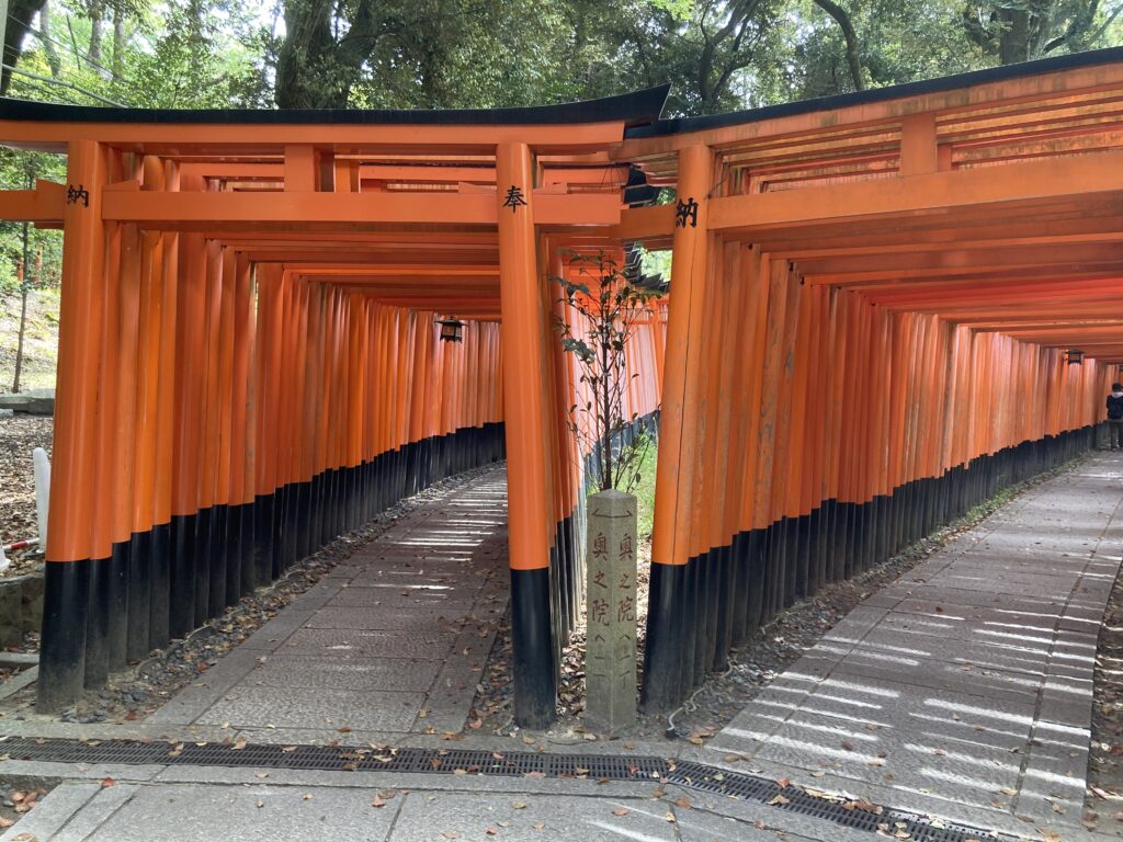 Thousands of red torii gates at Fushimi Inari Taisha