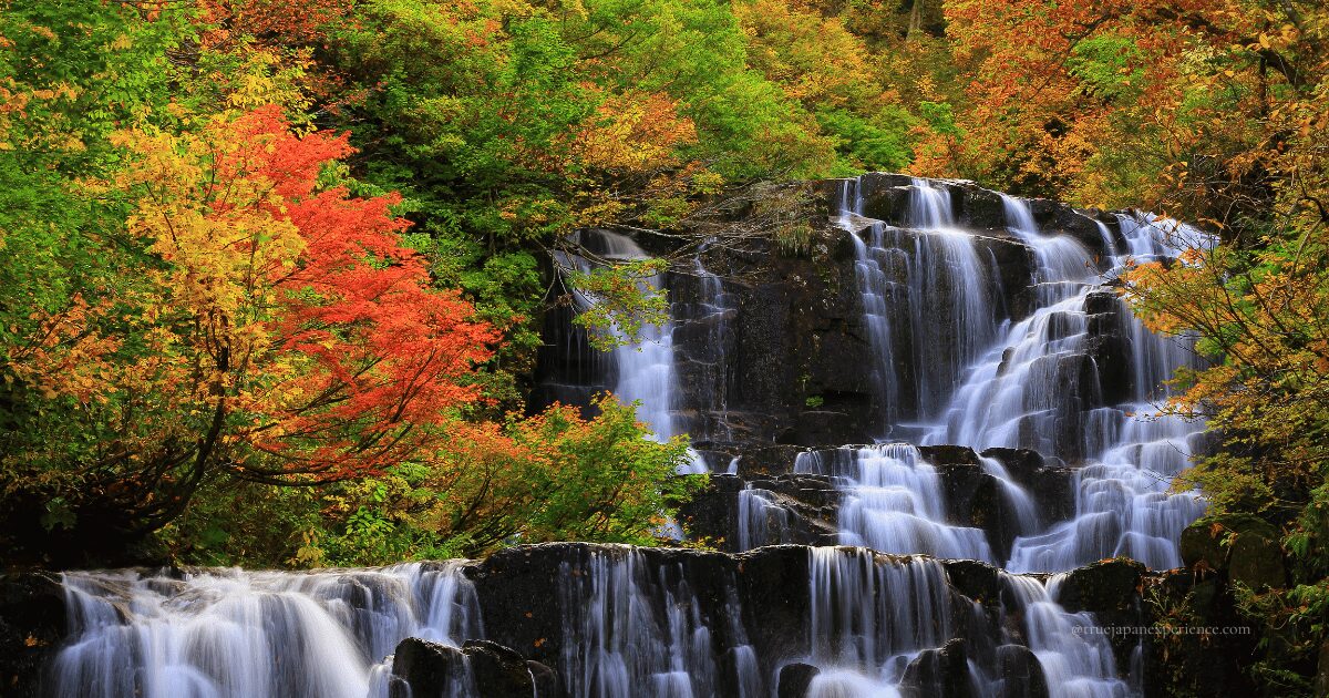 Colorful autumn leaves surround a multi-tiered waterfall deep in the Japanese mountains, showcasing the natural beauty of autumn in Japan.