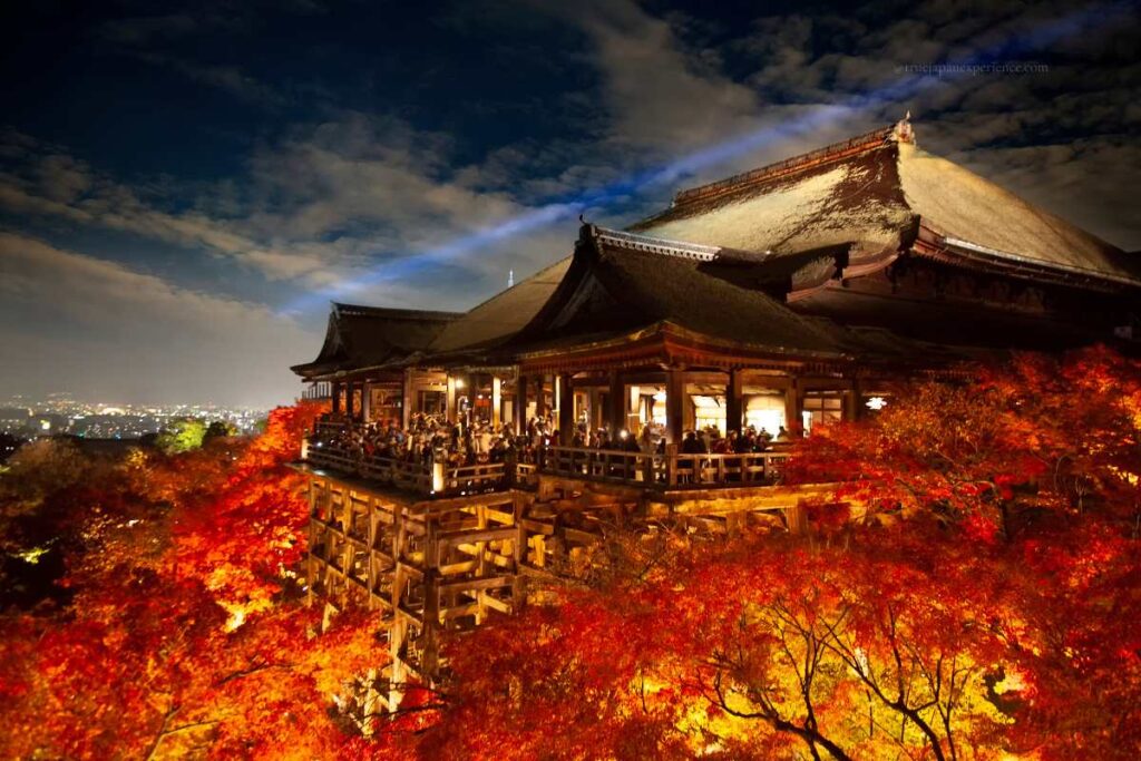 Kiyomizu-dera Temple in Kyoto illuminated at night during autumn, surrounded by vibrant red and orange maple leaves.