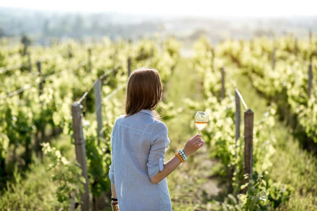 Woman holding a glass of white wine while walking through a sunlit vineyard