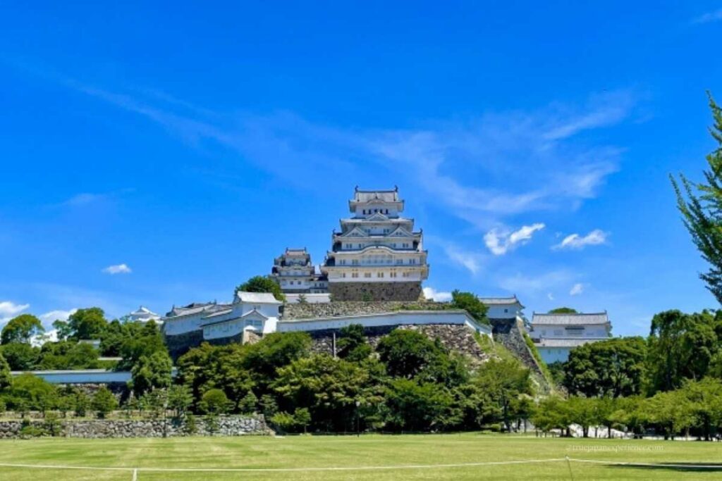 Distant view of Himeji Castle on a sunny day, seen from a grassy field with blue sky and trees in the foreground