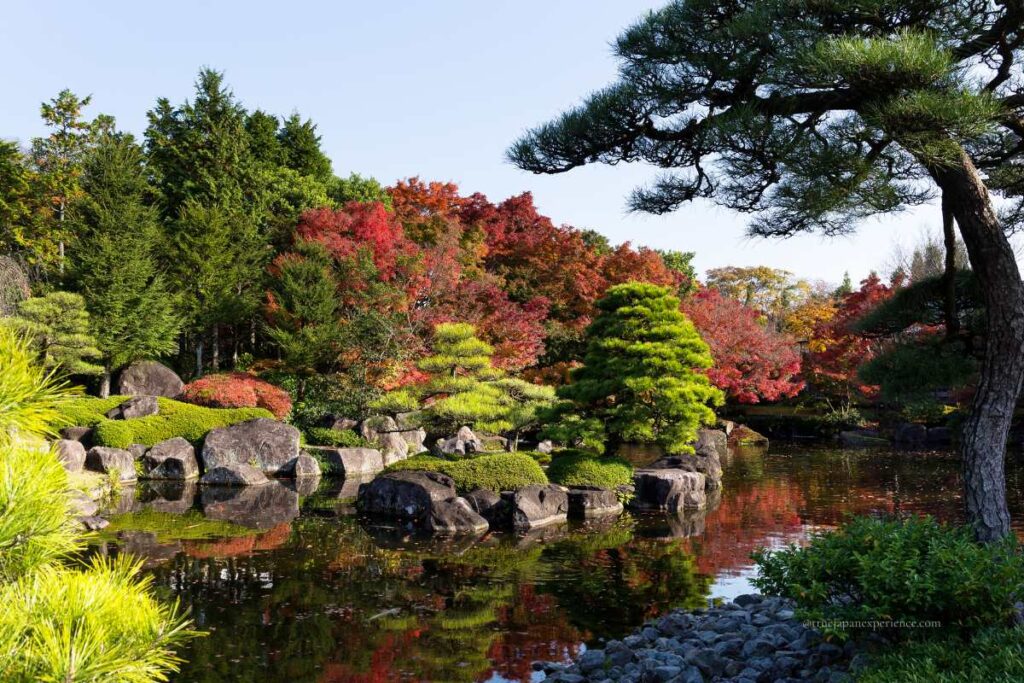 Japanese garden with autumn leaves, pine trees, rocks, and a calm pond reflecting the colorful foliage