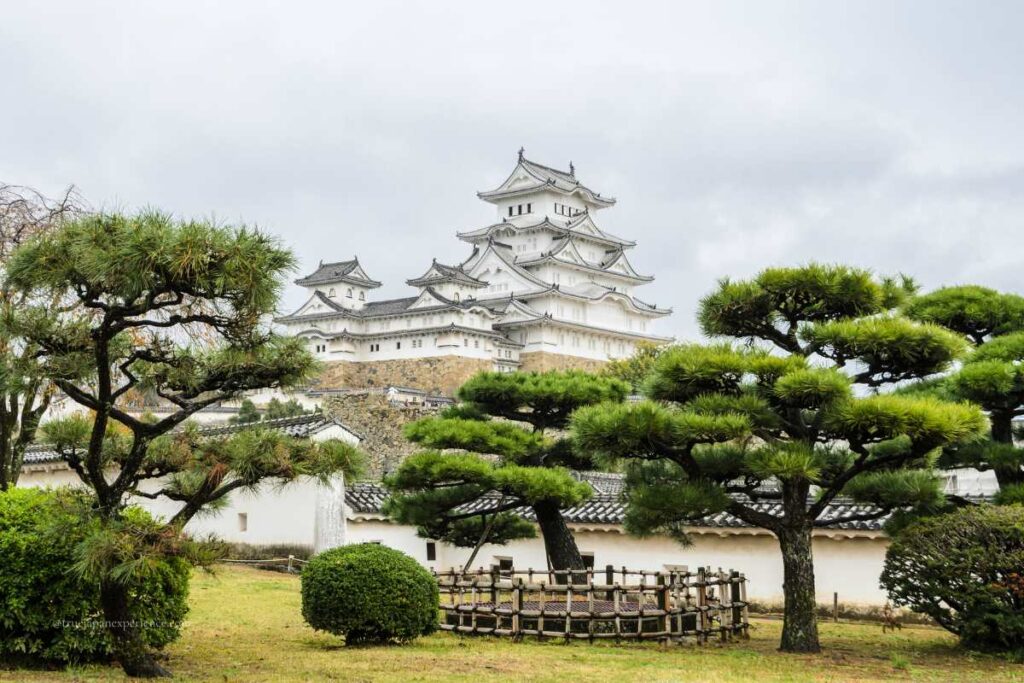 Himeji Castle viewed from a Japanese garden with neatly trimmed pine trees on a cloudy day