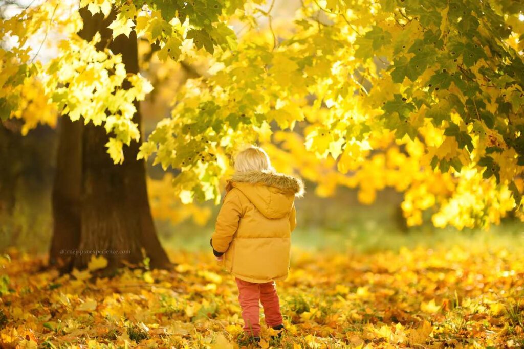 A young child in a yellow coat standing under golden autumn leaves in a sunlit park
