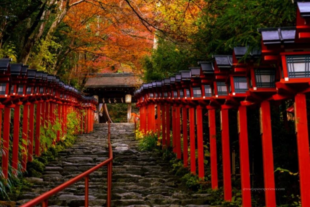 Stone steps at Kifune Shrine lined with red lanterns, surrounded by vibrant autumn leaves during peak fall season.