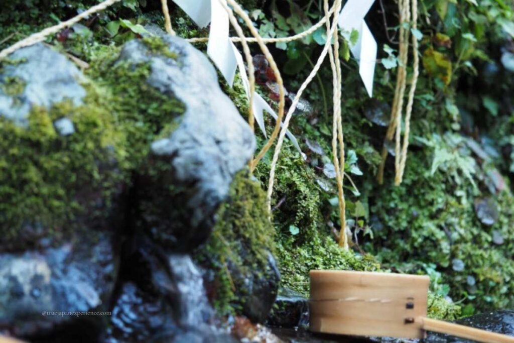 Sacred spring at Kifune Shrine with mossy rocks, white paper streamers (shide), and a wooden ladle used for purification.