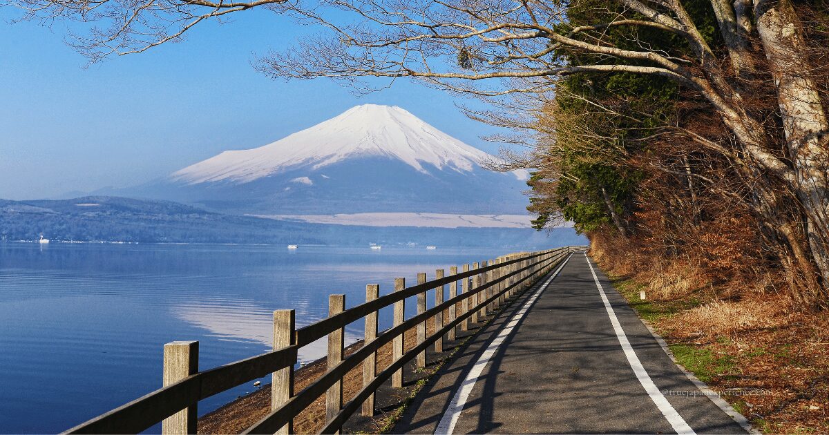 A paved cycling path runs along a quiet lake, with snow-capped Mt. Fuji rising in the background under a clear blue sky. Trees line the right side of the path.
