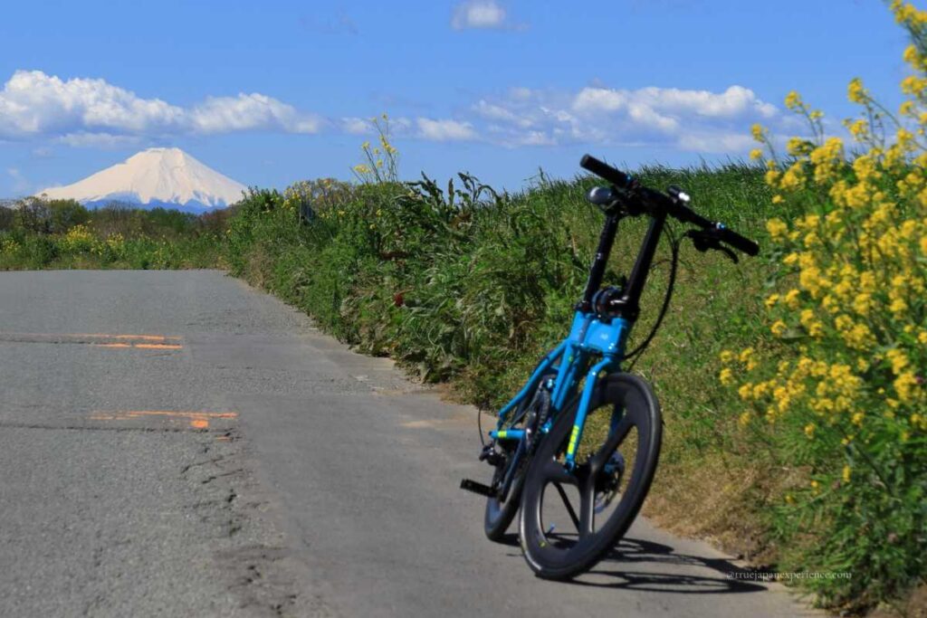 A blue bicycle rests on a quiet country road lined with yellow flowers, with Mt. Fuji visible in the distance under a clear blue sky.