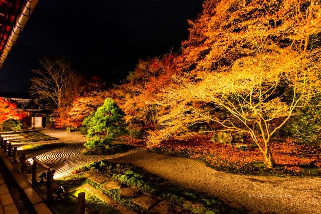 Autumn night illumination of the Zen rock garden at Tenju-an Temple, with glowing maple leaves and raked gravel.