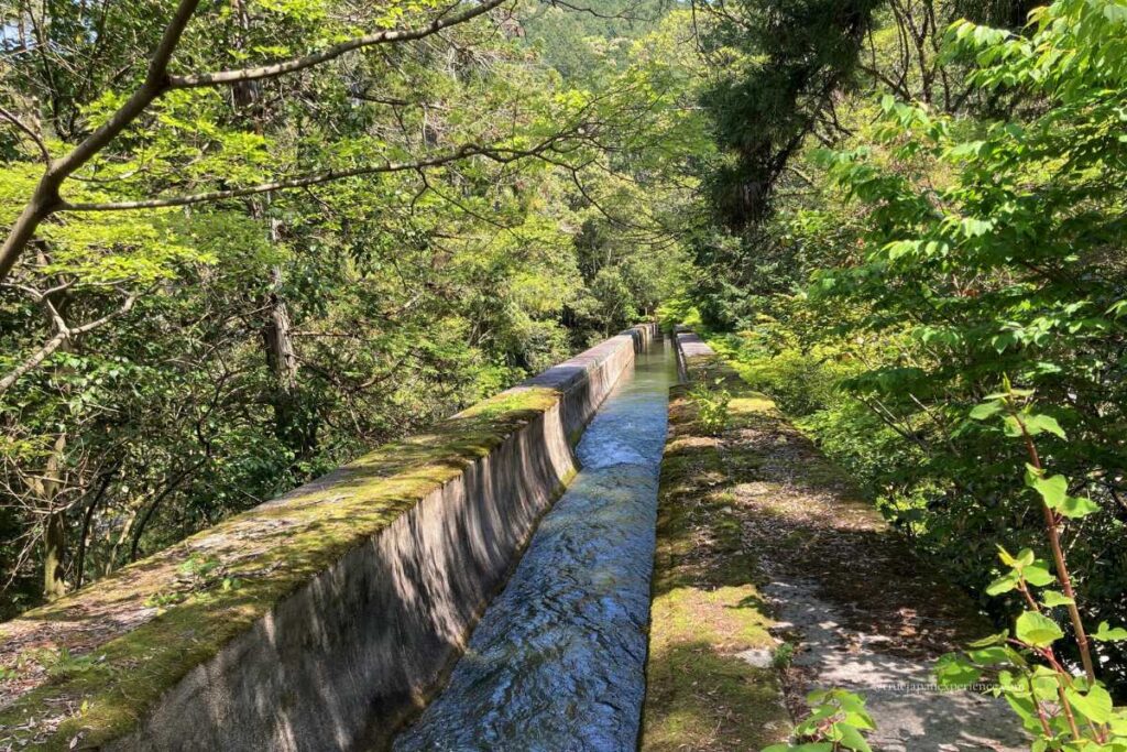 Water flowing through the top of the Suirokaku Aqueduct at Nanzen-ji, surrounded by lush green forest.