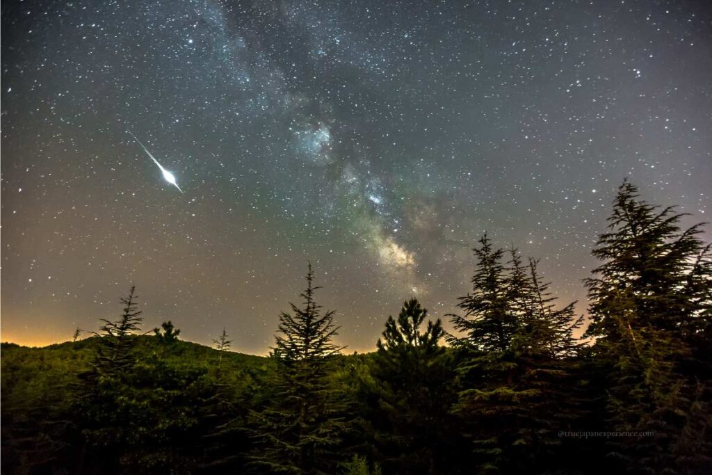 A bright shooting star streaks across the night sky above a forest, with the Milky Way clearly visible in the