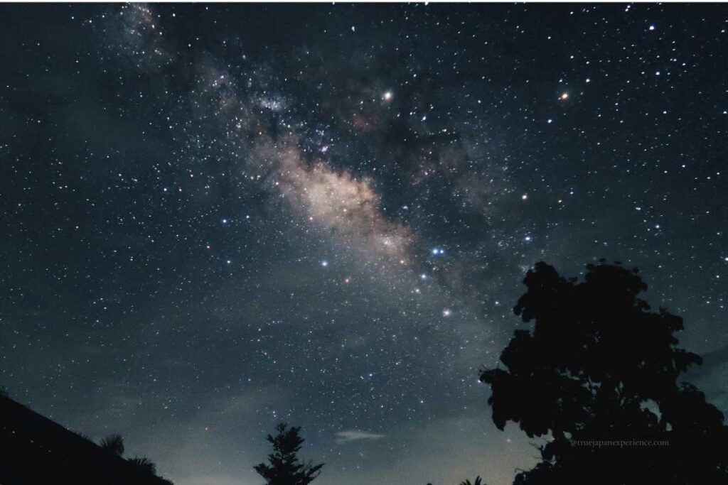 A clear view of the Milky Way stretching across the night sky, with tree silhouettes in the foreground.