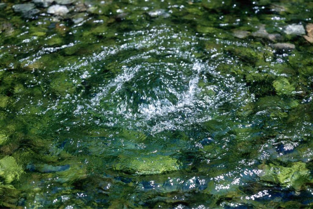 Clear natural spring water bubbling up from an underground source.