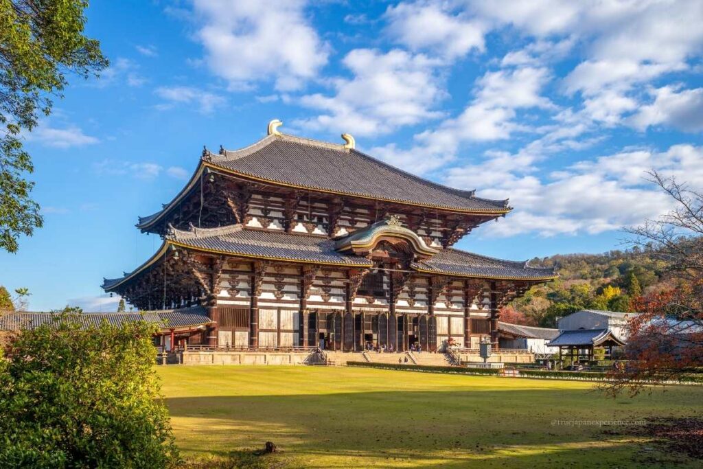 Scenic side view of the Great Buddha Hall at Todai-ji Temple in Nara, Japan, surrounded by greenery and autumn foliage under a blue sky