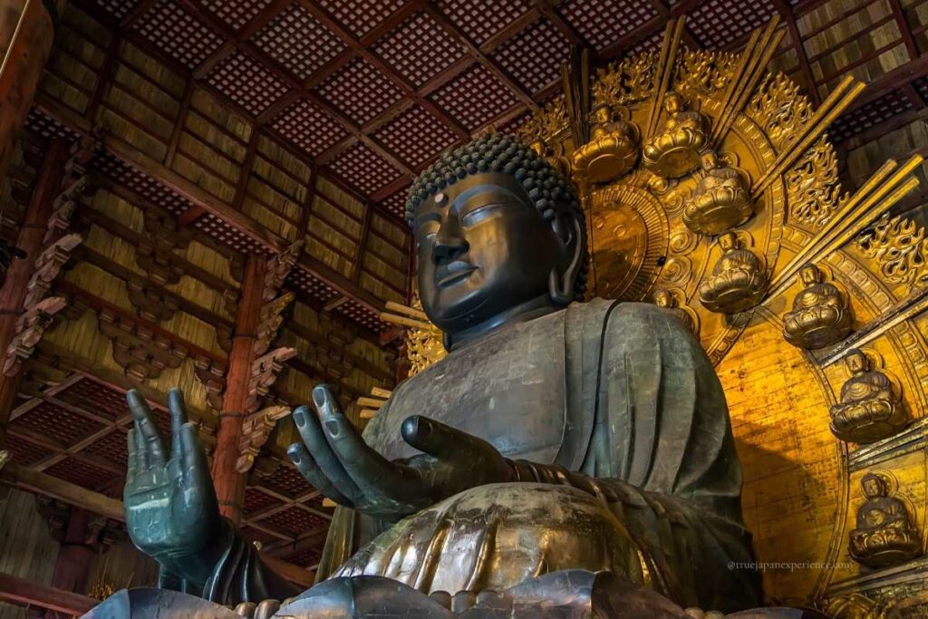 Side view of the Great Buddha (Daibutsu) statue at Todai-ji Temple in Nara, Japan, showing intricate golden halo and mudra hand gesture