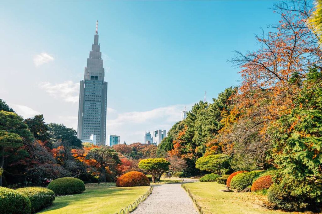 Autumn foliage in Shinjuku Gyoen National Garden with the NTT Docomo Yoyogi Building rising in the background.