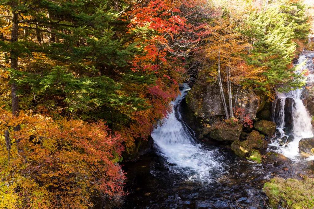 A beautiful waterfall flowing through a rocky forest in Nikko, surrounded by vivid red, orange, and yellow autumn leaves.