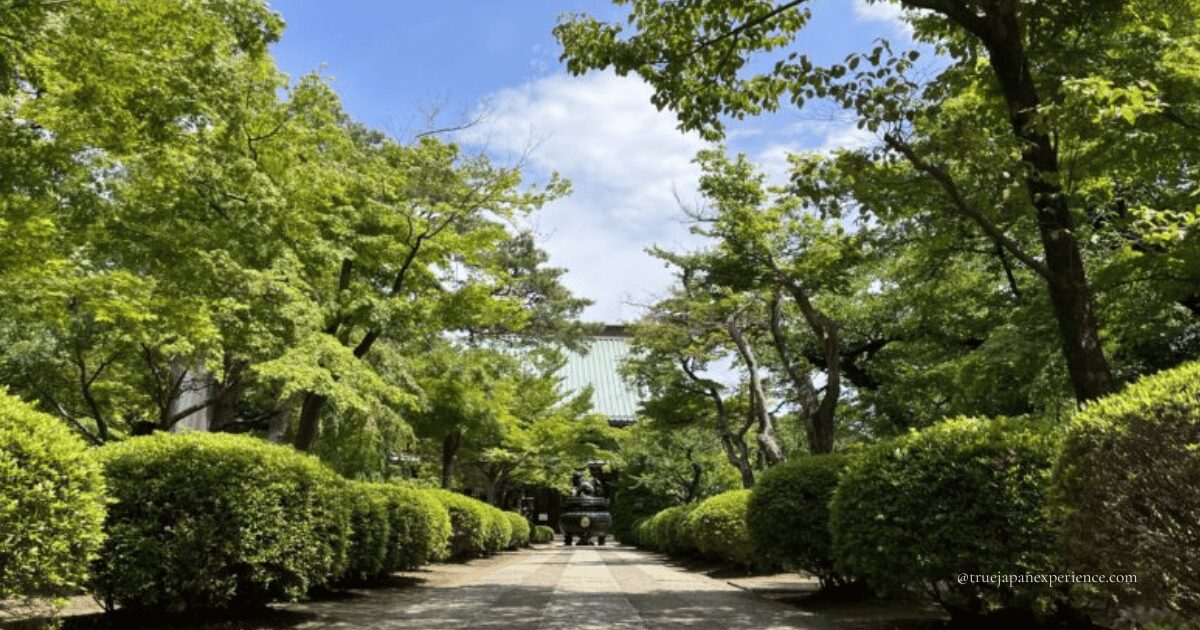 Tree-lined stone path leading to the main hall of Gotokuji Temple in Tokyo on a sunny day