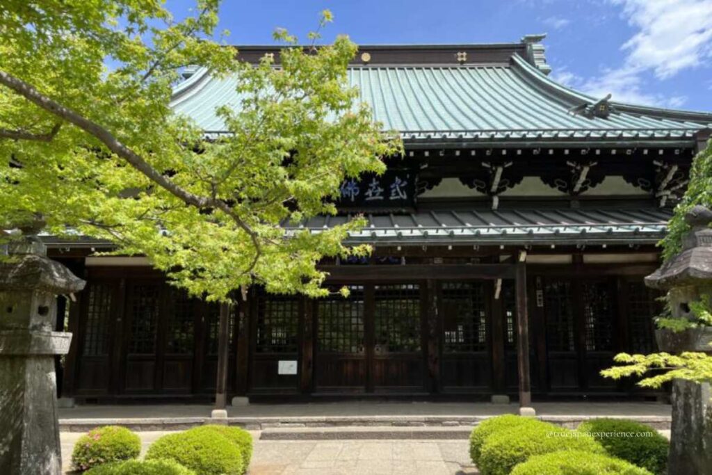 Main hall of Gotokuji Temple in Tokyo, Japan, with green maple leaves in the foreground on a sunny day