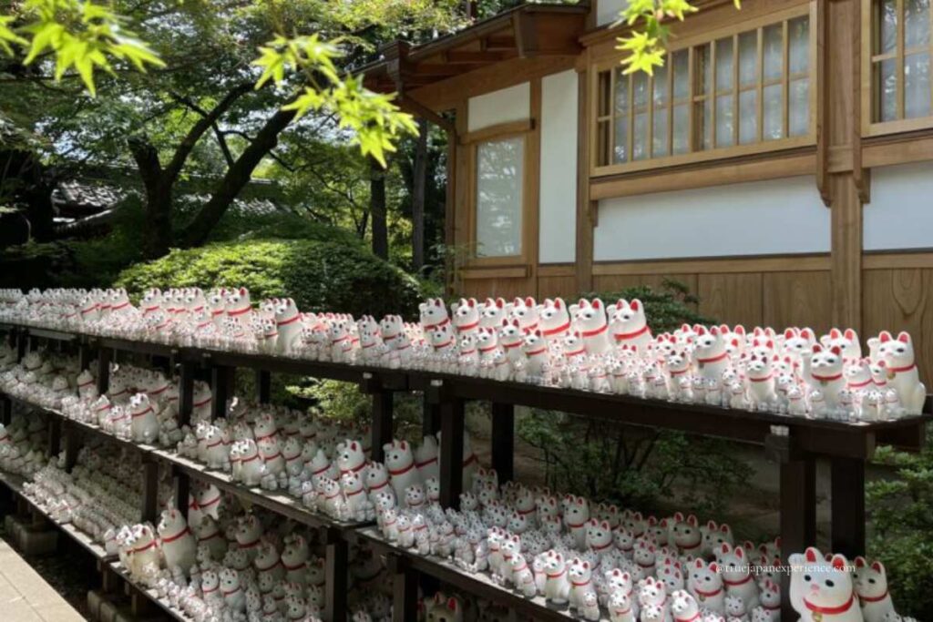 Outdoor shelves filled with rows of white Maneki-neko lucky cat figurines at Gotokuji Temple in Tokyo, Japan