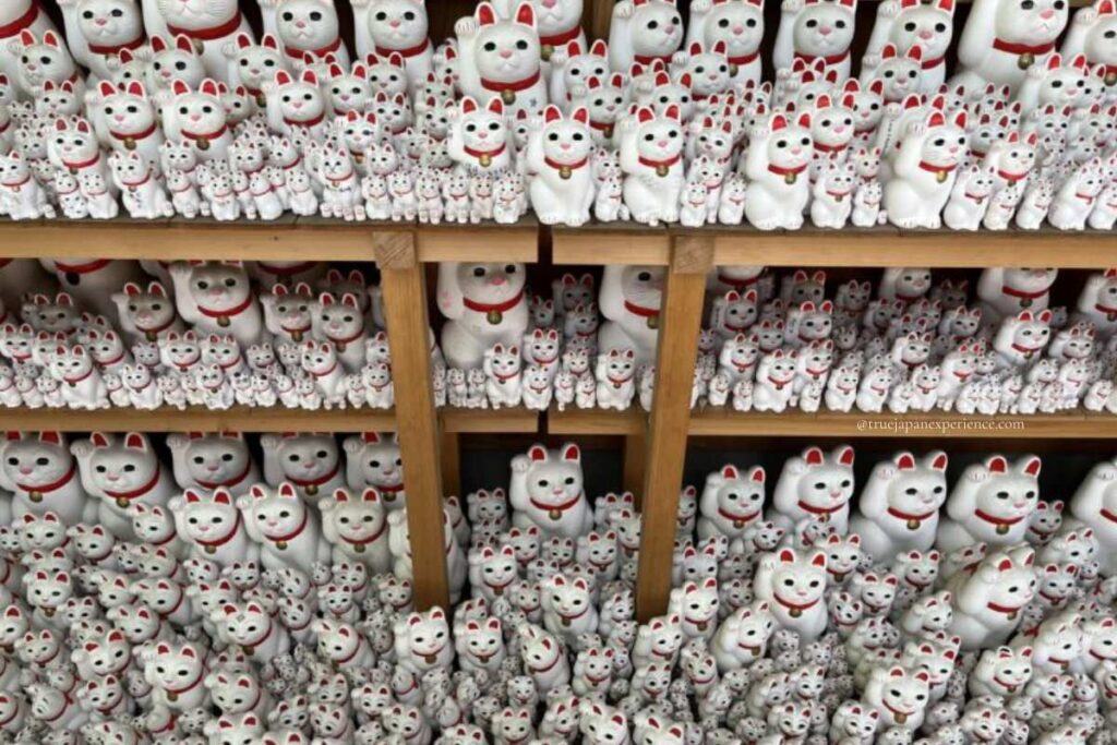 Shelves filled with hundreds of white Maneki-neko lucky cat figurines with red collars at Gotokuji Temple in Tokyo, Japan