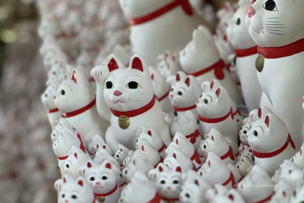 Rows of white Maneki-neko lucky cat figurines with red collars at Gotokuji Temple in Tokyo, Japan