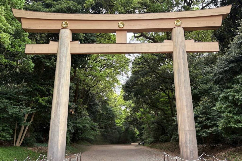 Large wooden torii gate at the entrance of Meiji Jingu Shrine in Tokyo, decorated with gold chrysanthemum crests (kiku no gomon), surrounded by lush green trees.
