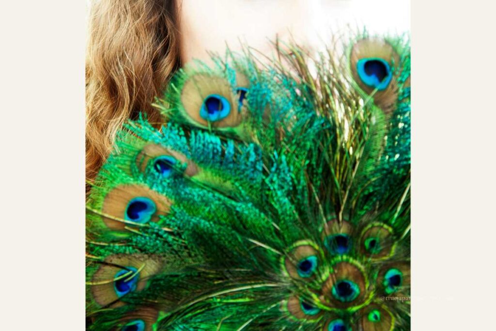 Decorative folding fan made with peacock feathers, held in front of a person’s face