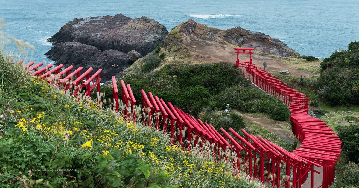 A long path of bright red torii gates winding down a green hillside toward the sea at Motonosumi Shrine in Yamaguchi, Japan.