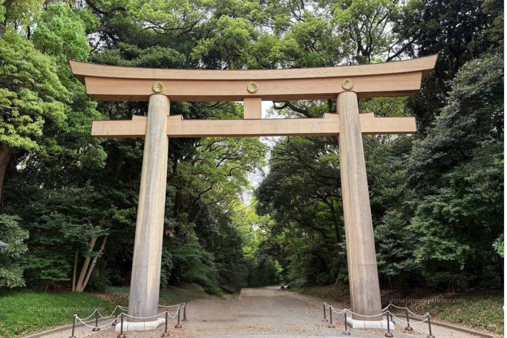 A large wooden torii gate with golden emblems standing at the entrance to a forest path at Meiji Jingu Shrine in Tokyo.