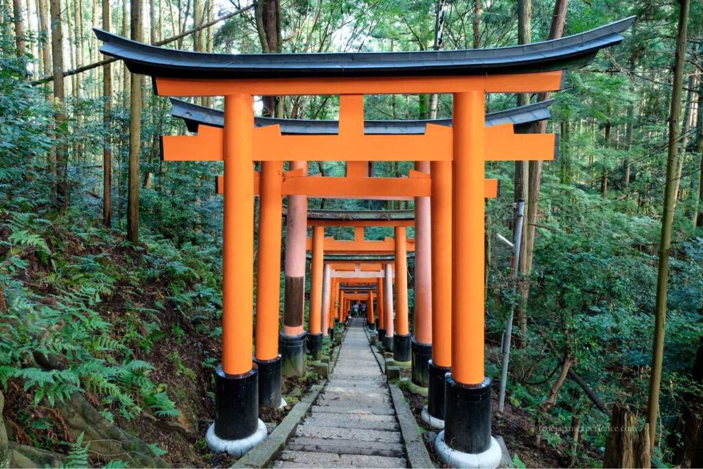 A pathway of red torii gates lined along stone steps through a quiet forest.
